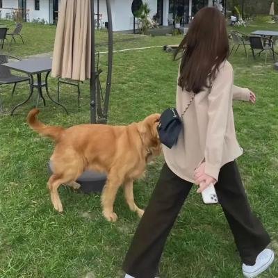 自助女孩